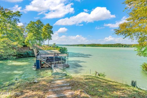 Tiny photo for 1360 Indian Shadows Drive, Ten Mile, TN 37880 (MLS # 1297886)