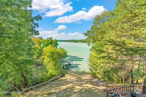 Tiny photo for 1360 Indian Shadows Drive, Ten Mile, TN 37880 (MLS # 1297886)