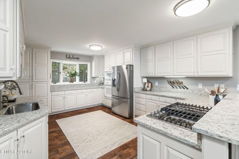 Tiny photo for 1360 Indian Shadows Drive, Ten Mile, TN 37880 (MLS # 1297886)