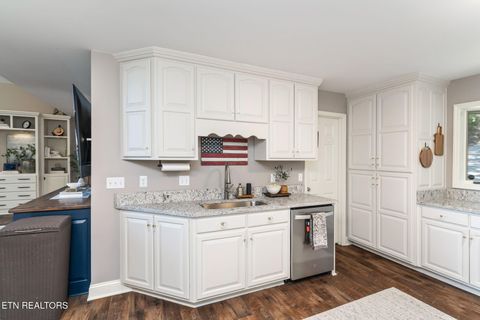 Tiny photo for 1360 Indian Shadows Drive, Ten Mile, TN 37880 (MLS # 1297886)