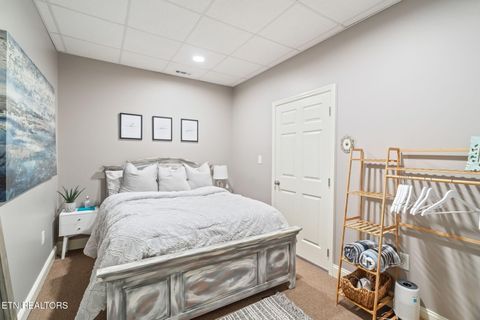 Tiny photo for 1360 Indian Shadows Drive, Ten Mile, TN 37880 (MLS # 1297886)