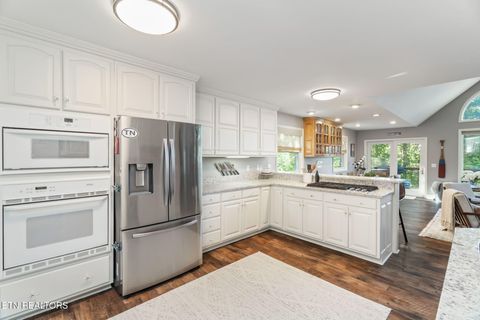 Tiny photo for 1360 Indian Shadows Drive, Ten Mile, TN 37880 (MLS # 1297886)