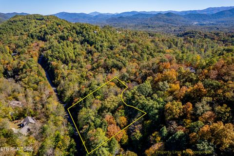 Tiny photo for 716 Tanasi Trail, Townsend, TN 37882 (MLS # 1319249)