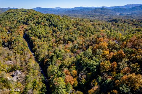 Tiny photo for 716 Tanasi Trail, Townsend, TN 37882 (MLS # 1319249)