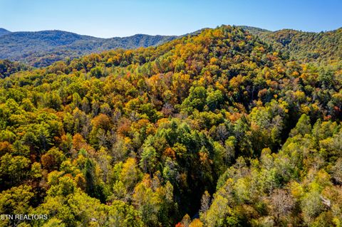 Tiny photo for 716 Tanasi Trail, Townsend, TN 37882 (MLS # 1319249)
