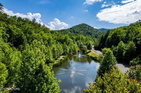 Tiny photo for 716 Tanasi Trail, Townsend, TN 37882 (MLS # 1319249)