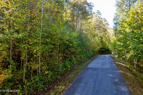 Tiny photo for 716 Tanasi Trail, Townsend, TN 37882 (MLS # 1319249)
