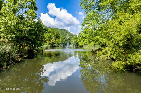 Tiny photo for 716 Tanasi Trail, Townsend, TN 37882 (MLS # 1319249)