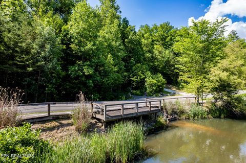 Tiny photo for 716 Tanasi Trail, Townsend, TN 37882 (MLS # 1319249)