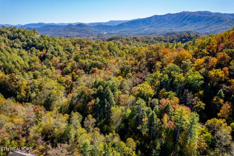 Tiny photo for 716 Tanasi Trail, Townsend, TN 37882 (MLS # 1319249)