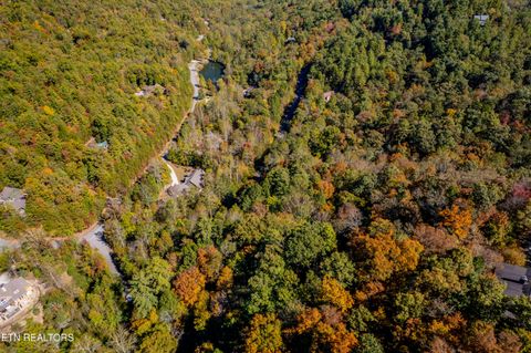 Tiny photo for 716 Tanasi Trail, Townsend, TN 37882 (MLS # 1319249)