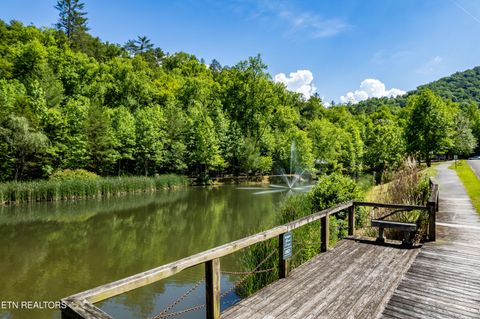 Tiny photo for 716 Tanasi Trail, Townsend, TN 37882 (MLS # 1319249)