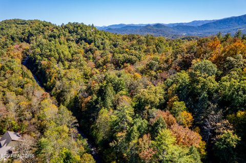 Tiny photo for 716 Tanasi Trail, Townsend, TN 37882 (MLS # 1319249)