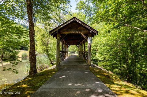 Tiny photo for 716 Tanasi Trail, Townsend, TN 37882 (MLS # 1319249)