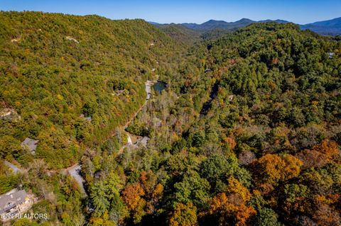 Tiny photo for 716 Tanasi Trail, Townsend, TN 37882 (MLS # 1319249)