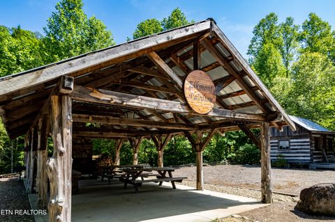 Tiny photo for 716 Tanasi Trail, Townsend, TN 37882 (MLS # 1319249)