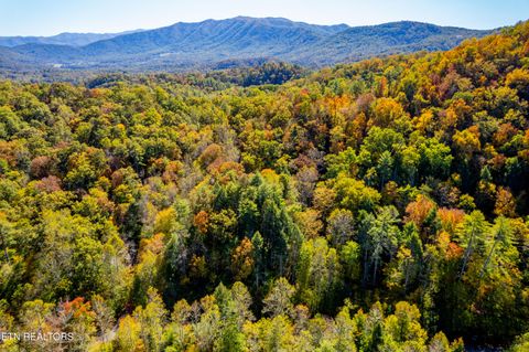 Tiny photo for 716 Tanasi Trail, Townsend, TN 37882 (MLS # 1319249)