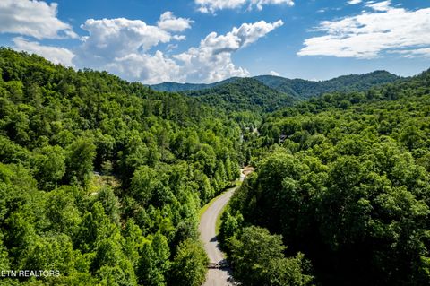 Tiny photo for 716 Tanasi Trail, Townsend, TN 37882 (MLS # 1319249)