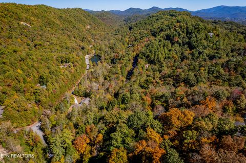 Tiny photo for 716 Tanasi Trail, Townsend, TN 37882 (MLS # 1319249)