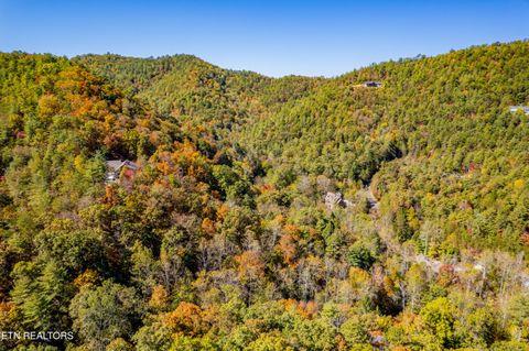 Tiny photo for 716 Tanasi Trail, Townsend, TN 37882 (MLS # 1319249)