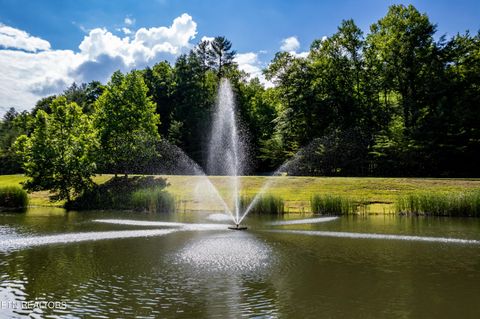 Tiny photo for 716 Tanasi Trail, Townsend, TN 37882 (MLS # 1319249)