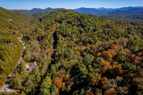 Tiny photo for 716 Tanasi Trail, Townsend, TN 37882 (MLS # 1319249)
