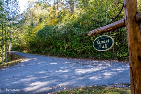 Photo of 716 Tanasi Trail, Townsend, TN 37882 (MLS # 1319249)