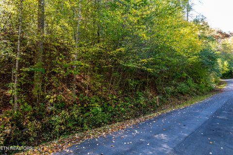 Tiny photo for 716 Tanasi Trail, Townsend, TN 37882 (MLS # 1319249)