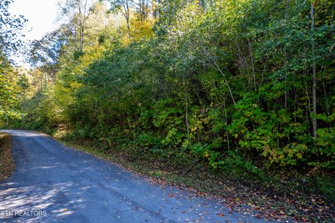 Tiny photo for 716 Tanasi Trail, Townsend, TN 37882 (MLS # 1319249)
