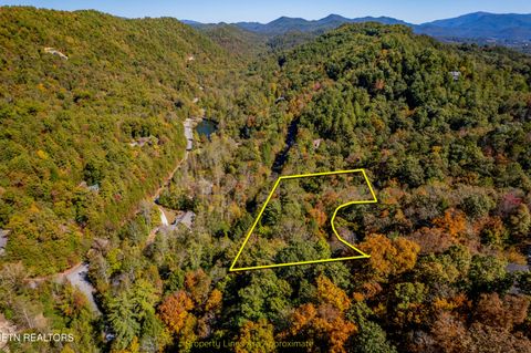Tiny photo for 716 Tanasi Trail, Townsend, TN 37882 (MLS # 1319249)