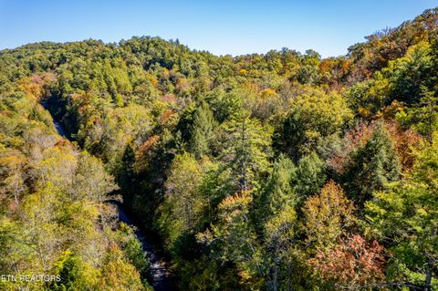 Tiny photo for 716 Tanasi Trail, Townsend, TN 37882 (MLS # 1319249)