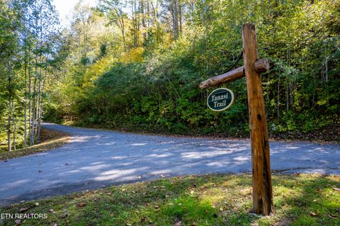 Tiny photo for 716 Tanasi Trail, Townsend, TN 37882 (MLS # 1319249)
