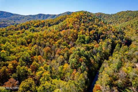 Tiny photo for 716 Tanasi Trail, Townsend, TN 37882 (MLS # 1319249)