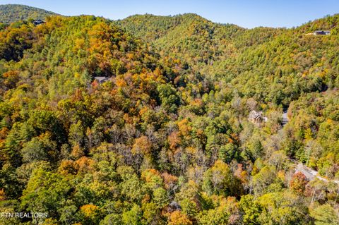 Tiny photo for 716 Tanasi Trail, Townsend, TN 37882 (MLS # 1319249)