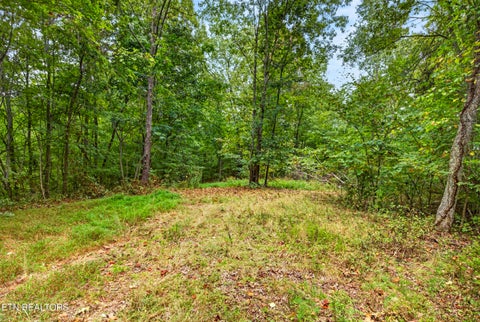 Tiny photo for 27 Timber Ridge Lane, Celina, TN 38551 (MLS # 1357275)