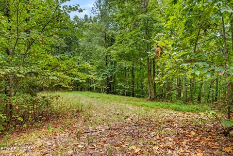 Tiny photo for 27 Timber Ridge Lane, Celina, TN 38551 (MLS # 1357275)