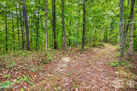 Tiny photo for 27 Timber Ridge Lane, Celina, TN 38551 (MLS # 1357275)