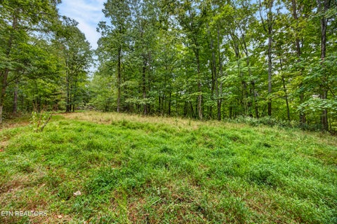 Tiny photo for 27 Timber Ridge Lane, Celina, TN 38551 (MLS # 1357275)