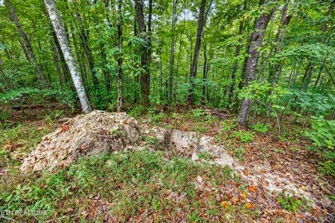 Tiny photo for 27 Timber Ridge Lane, Celina, TN 38551 (MLS # 1357275)