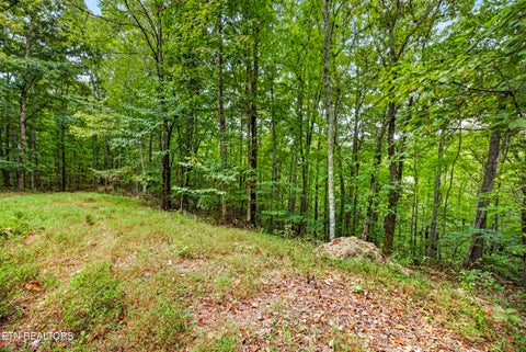 Tiny photo for 27 Timber Ridge Lane, Celina, TN 38551 (MLS # 1357275)