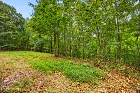Tiny photo for 27 Timber Ridge Lane, Celina, TN 38551 (MLS # 1357275)