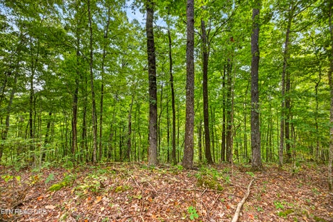 Photo of 27 Timber Ridge Lane, Celina, TN 38551 (MLS # 1357275)