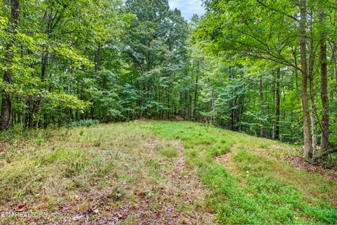 Tiny photo for 27 Timber Ridge Lane, Celina, TN 38551 (MLS # 1357275)