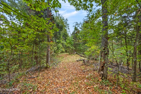 Tiny photo for 27 Timber Ridge Lane, Celina, TN 38551 (MLS # 1357275)