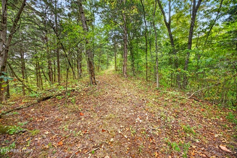 Tiny photo for 27 Timber Ridge Lane, Celina, TN 38551 (MLS # 1357275)