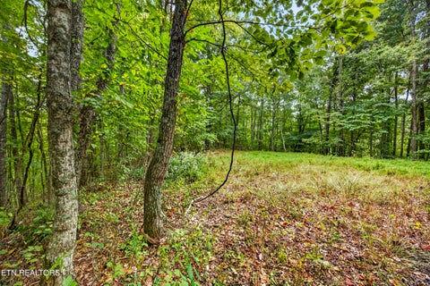 Tiny photo for 27 Timber Ridge Lane, Celina, TN 38551 (MLS # 1357275)