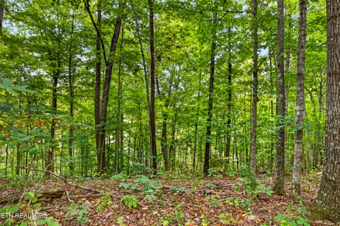Tiny photo for 27 Timber Ridge Lane, Celina, TN 38551 (MLS # 1357275)