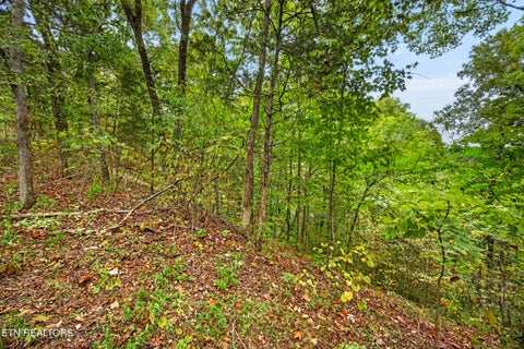 Tiny photo for 27 Timber Ridge Lane, Celina, TN 38551 (MLS # 1357275)