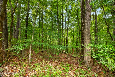 Tiny photo for 27 Timber Ridge Lane, Celina, TN 38551 (MLS # 1357275)