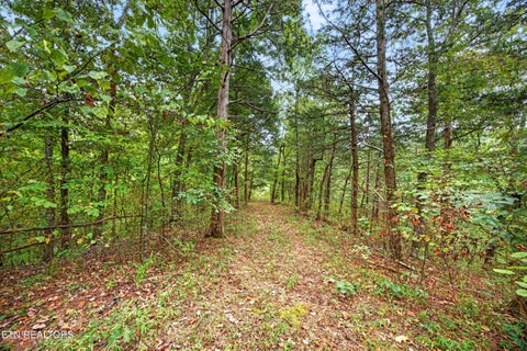 Tiny photo for 27 Timber Ridge Lane, Celina, TN 38551 (MLS # 1357275)